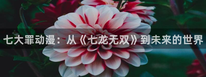 少女派别风车动漫：七大罪动漫：从《七龙无双》到未来的世界