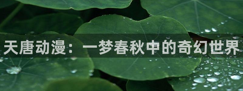 风车动漫动漫官网在线观看：天唐动漫：一梦春秋中的奇幻世界