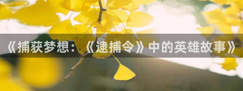 动漫风车动漫专注动漫的门户网站：《捕获梦想：《逮捕令》中的英雄故事》