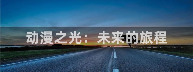 风车动漫正版：动漫之光：未来的旅程